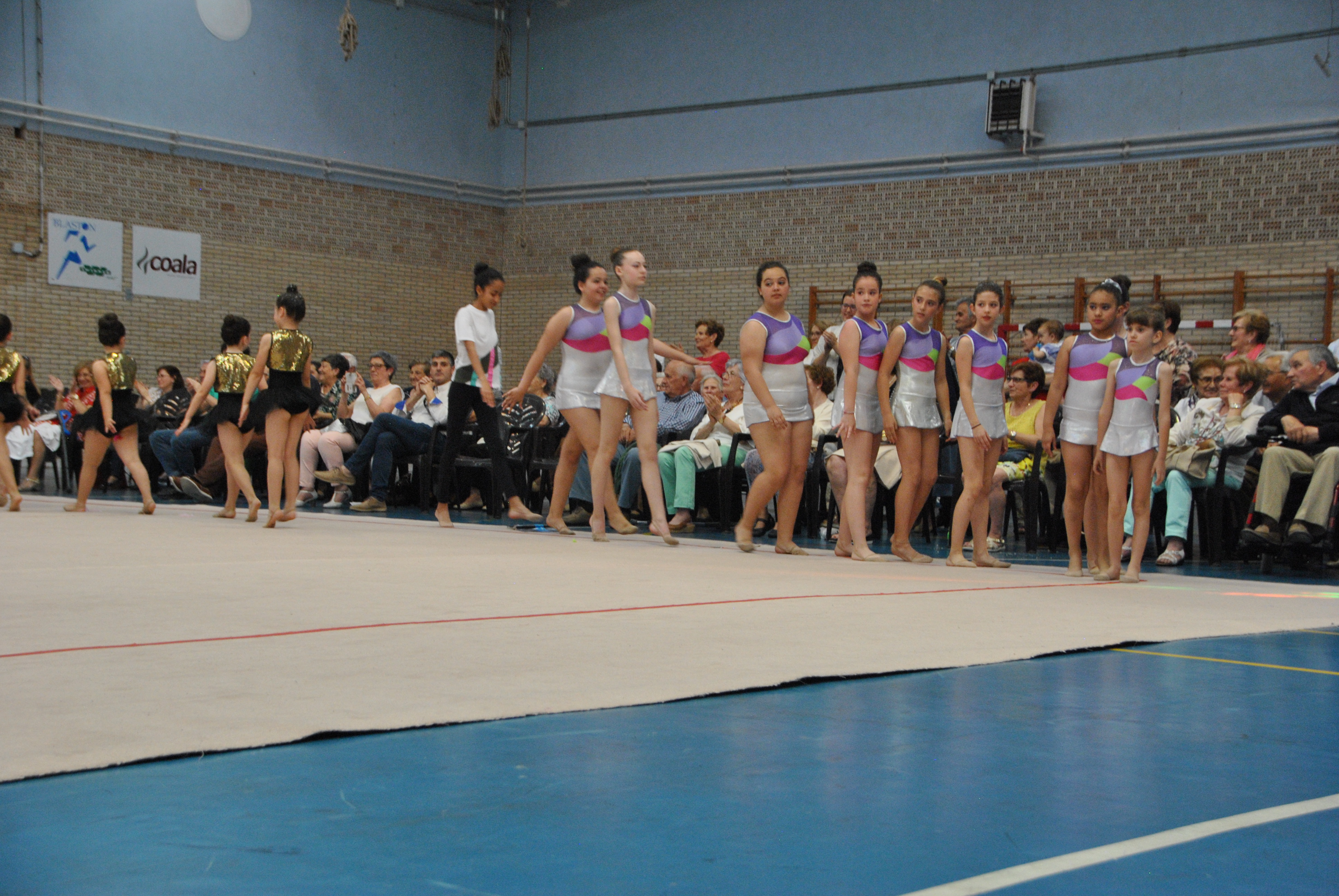 Exhibicion club ritmica Alfaro junio 18 1173