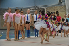 Exhibicion club ritmica Alfaro junio 18 1174