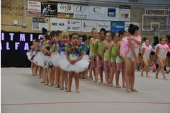 Exhibicion club ritmica Alfaro junio 18 1179