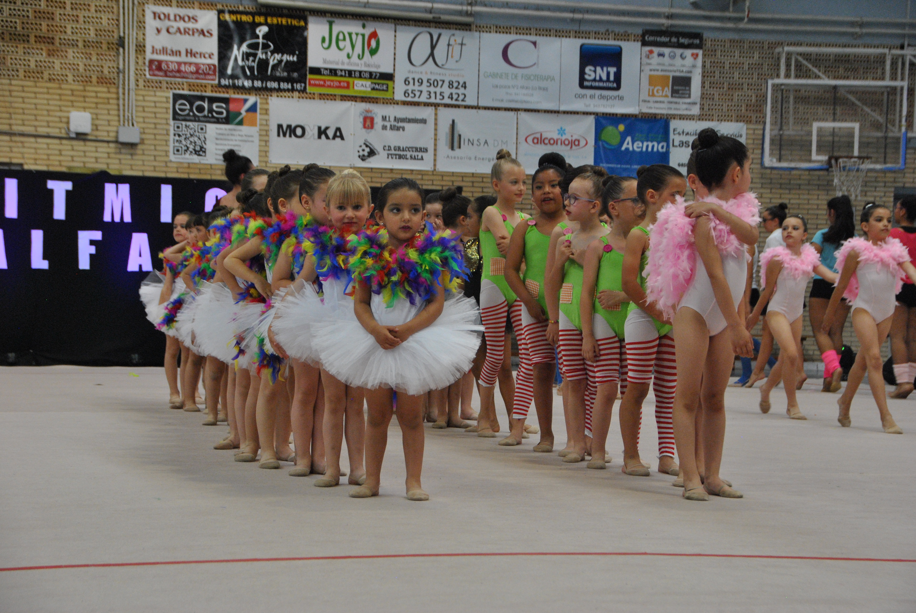 Exhibicion club ritmica Alfaro junio 18 1179