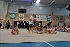 Exhibicion club ritmica Alfaro junio 18 1195