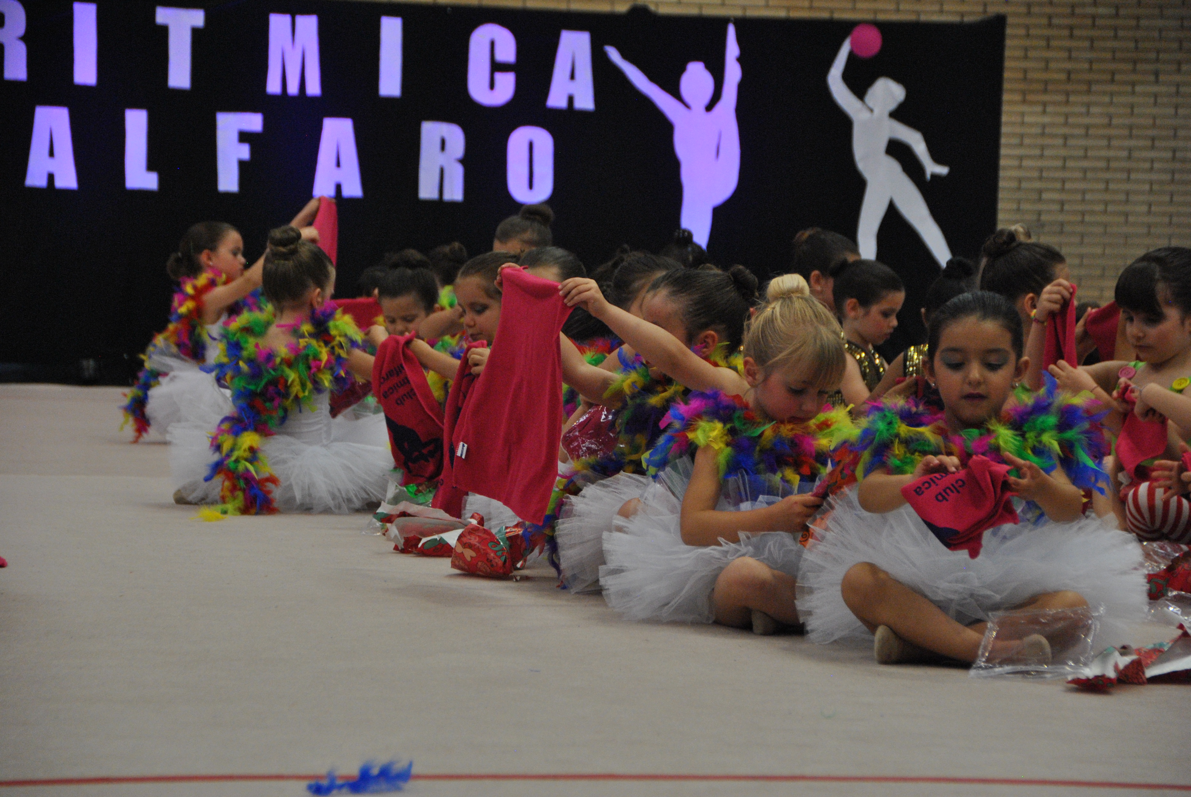 Exhibicion club ritmica Alfaro junio 18 1210