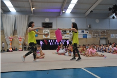 Exhibicion club ritmica Alfaro junio 18 1225