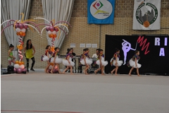 Exhibicion club ritmica Alfaro junio 18 126