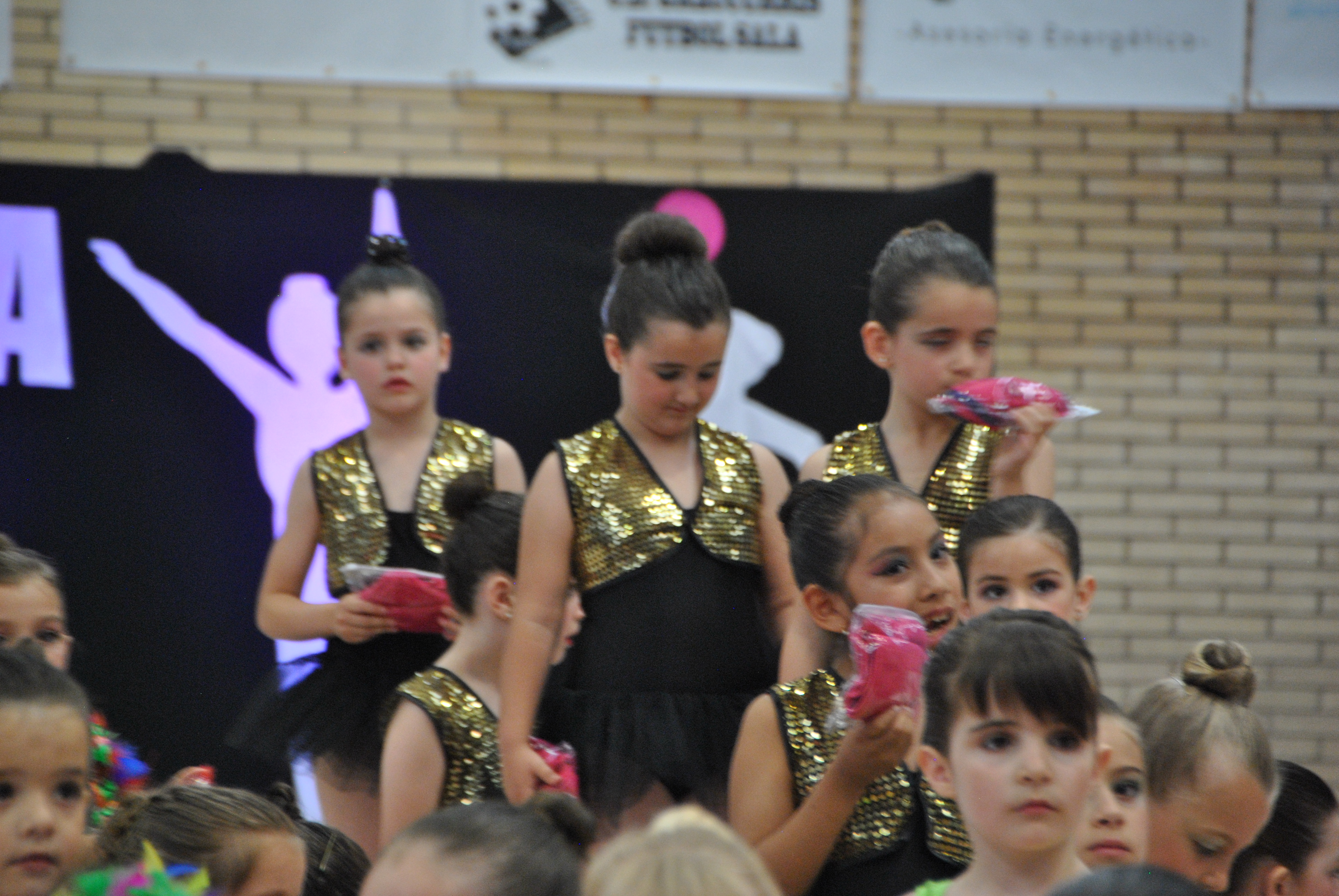 Exhibicion club ritmica Alfaro junio 18 1266