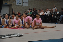 Exhibicion club ritmica Alfaro junio 18 1268