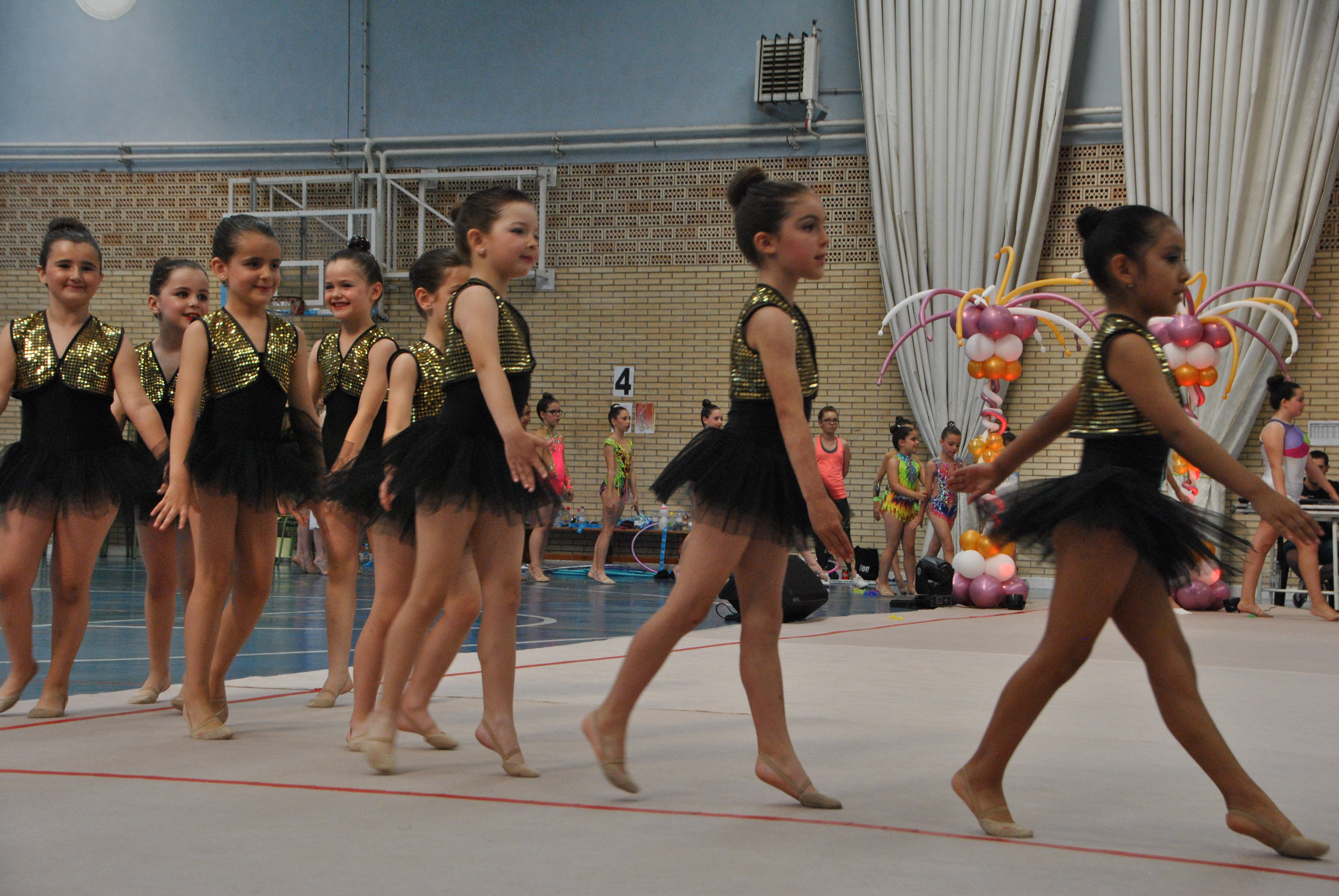 Exhibicion club ritmica Alfaro junio 18 129