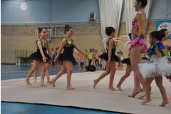 Exhibicion club ritmica Alfaro junio 18 130