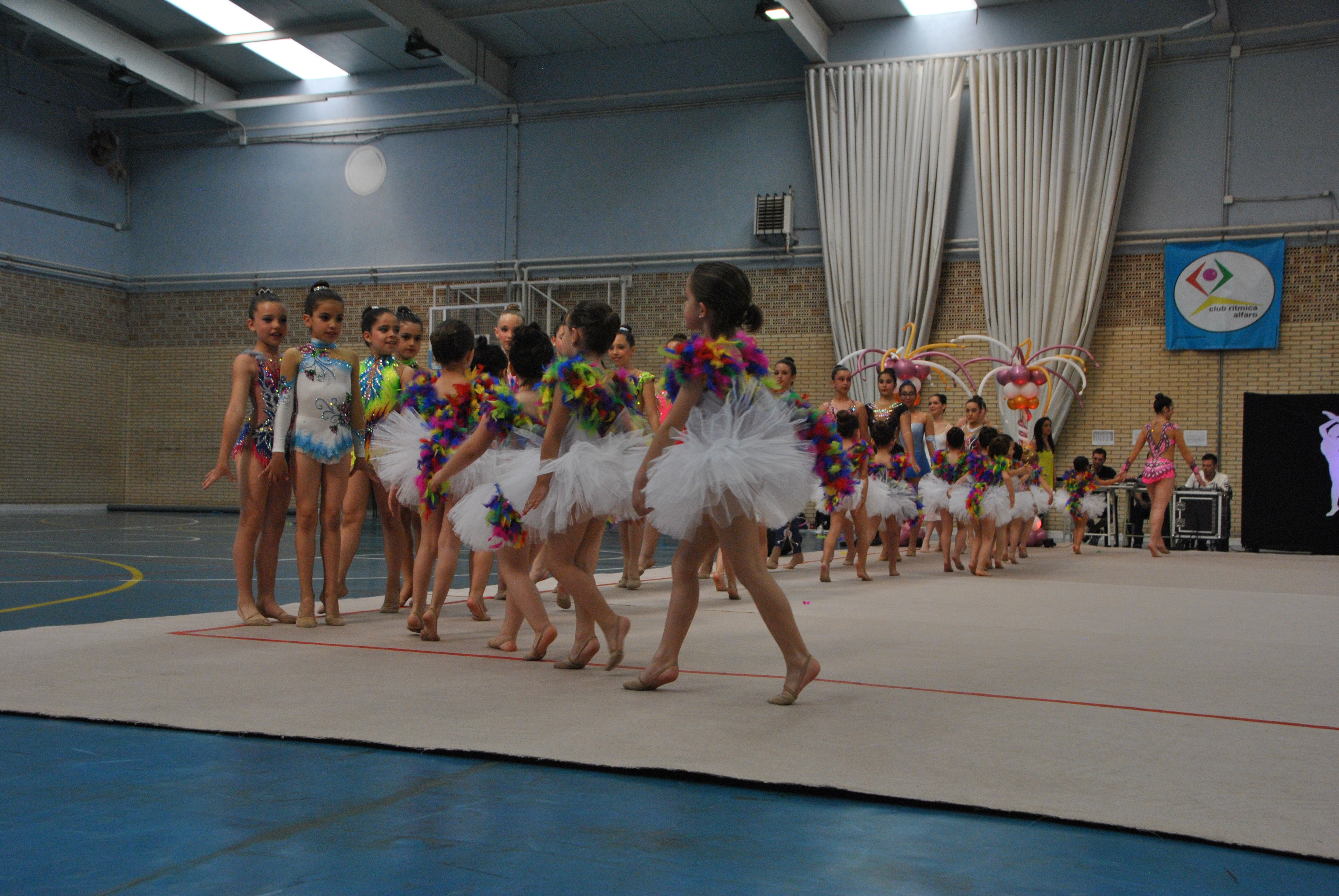 Exhibicion club ritmica Alfaro junio 18 131