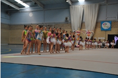 Exhibicion club ritmica Alfaro junio 18 133