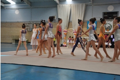 Exhibicion club ritmica Alfaro junio 18 138