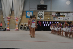 Exhibicion club ritmica Alfaro junio 18 141