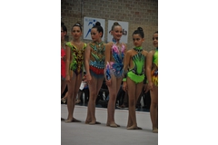 Exhibicion club ritmica Alfaro junio 18 145