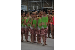 Exhibicion club ritmica Alfaro junio 18 147