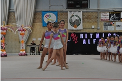 Exhibicion club ritmica Alfaro junio 18 150