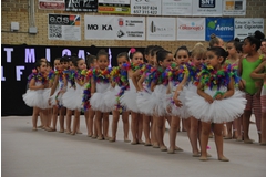 Exhibicion club ritmica Alfaro junio 18 151