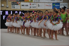 Exhibicion club ritmica Alfaro junio 18 152