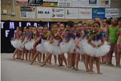 Exhibicion club ritmica Alfaro junio 18 153