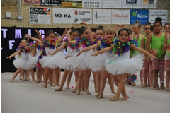 Exhibicion club ritmica Alfaro junio 18 156