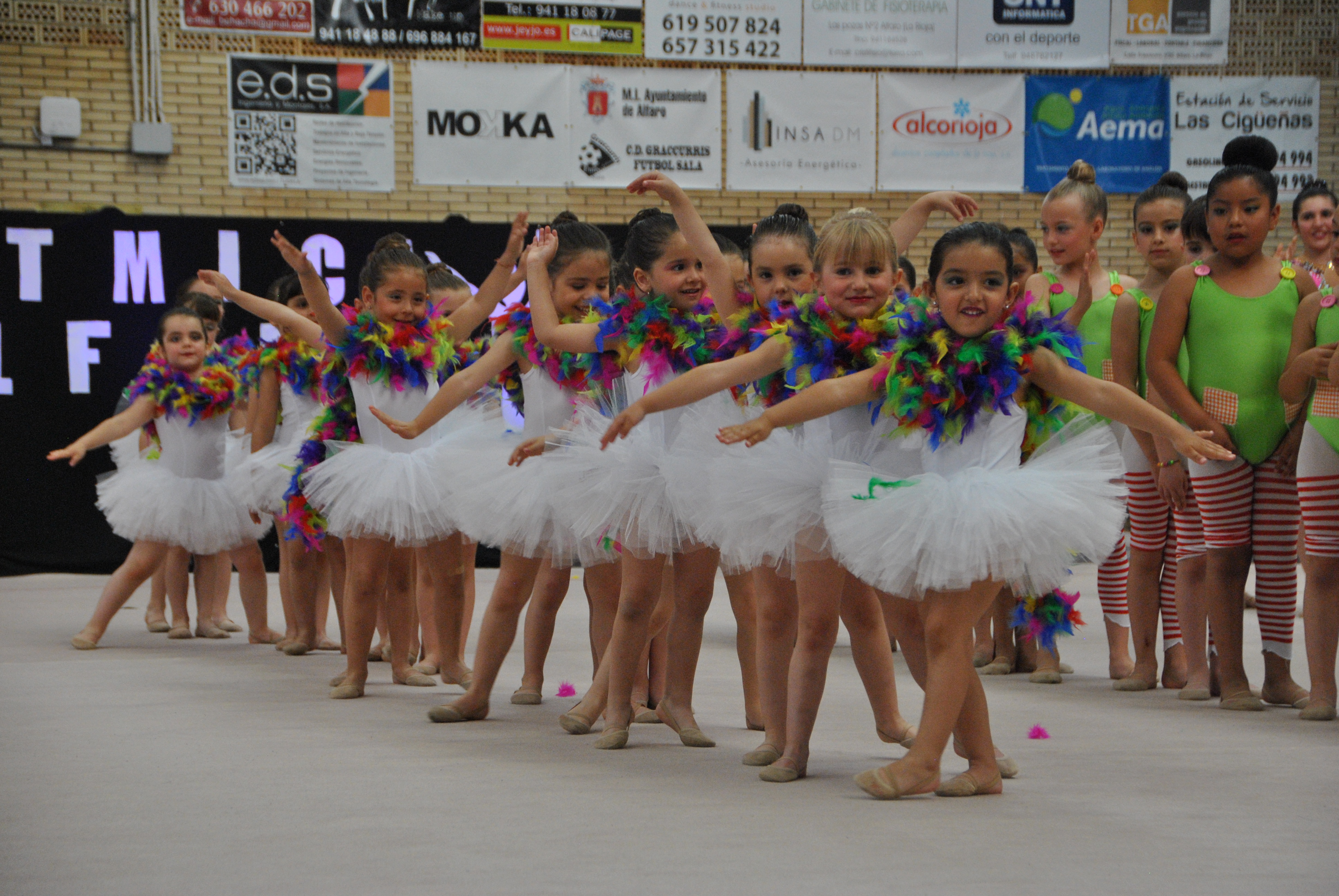 Exhibicion club ritmica Alfaro junio 18 156