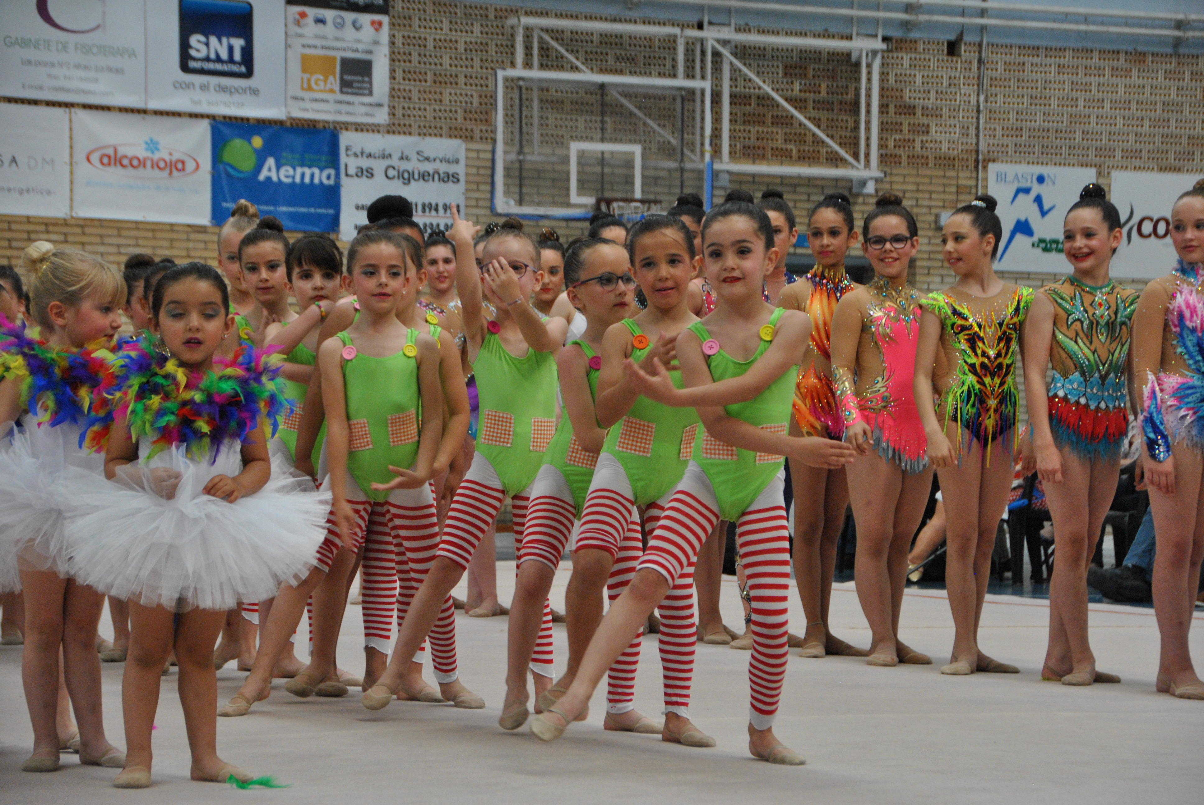 Exhibicion club ritmica Alfaro junio 18 158