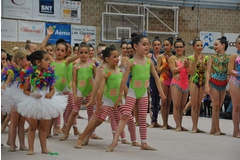 Exhibicion club ritmica Alfaro junio 18 159