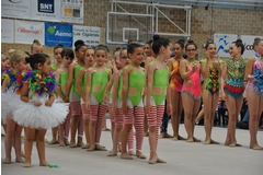 Exhibicion club ritmica Alfaro junio 18 160