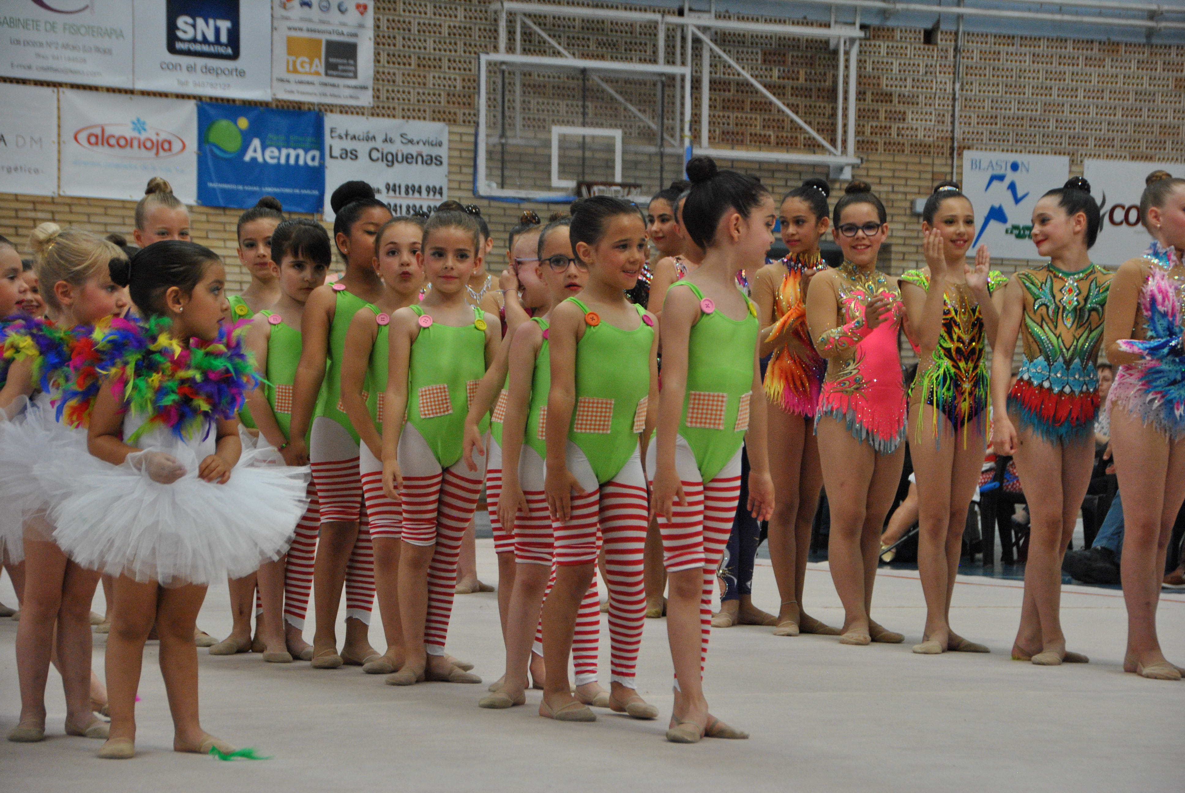 Exhibicion club ritmica Alfaro junio 18 160