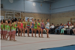 Exhibicion club ritmica Alfaro junio 18 163