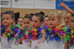 Exhibicion club ritmica Alfaro junio 18 166