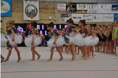 Exhibicion club ritmica Alfaro junio 18 168