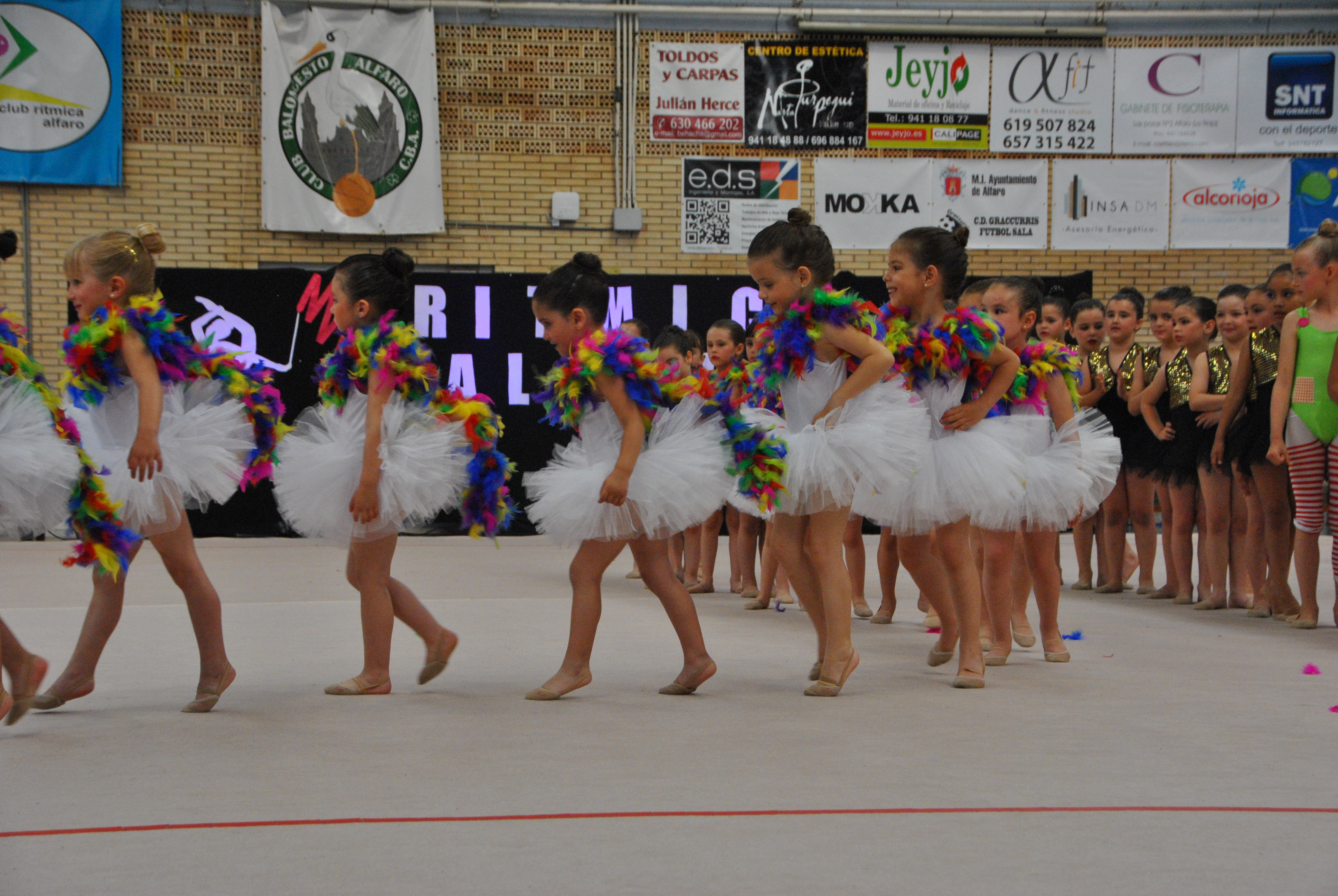 Exhibicion club ritmica Alfaro junio 18 168