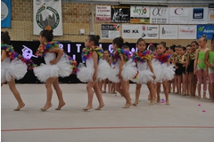 Exhibicion club ritmica Alfaro junio 18 169