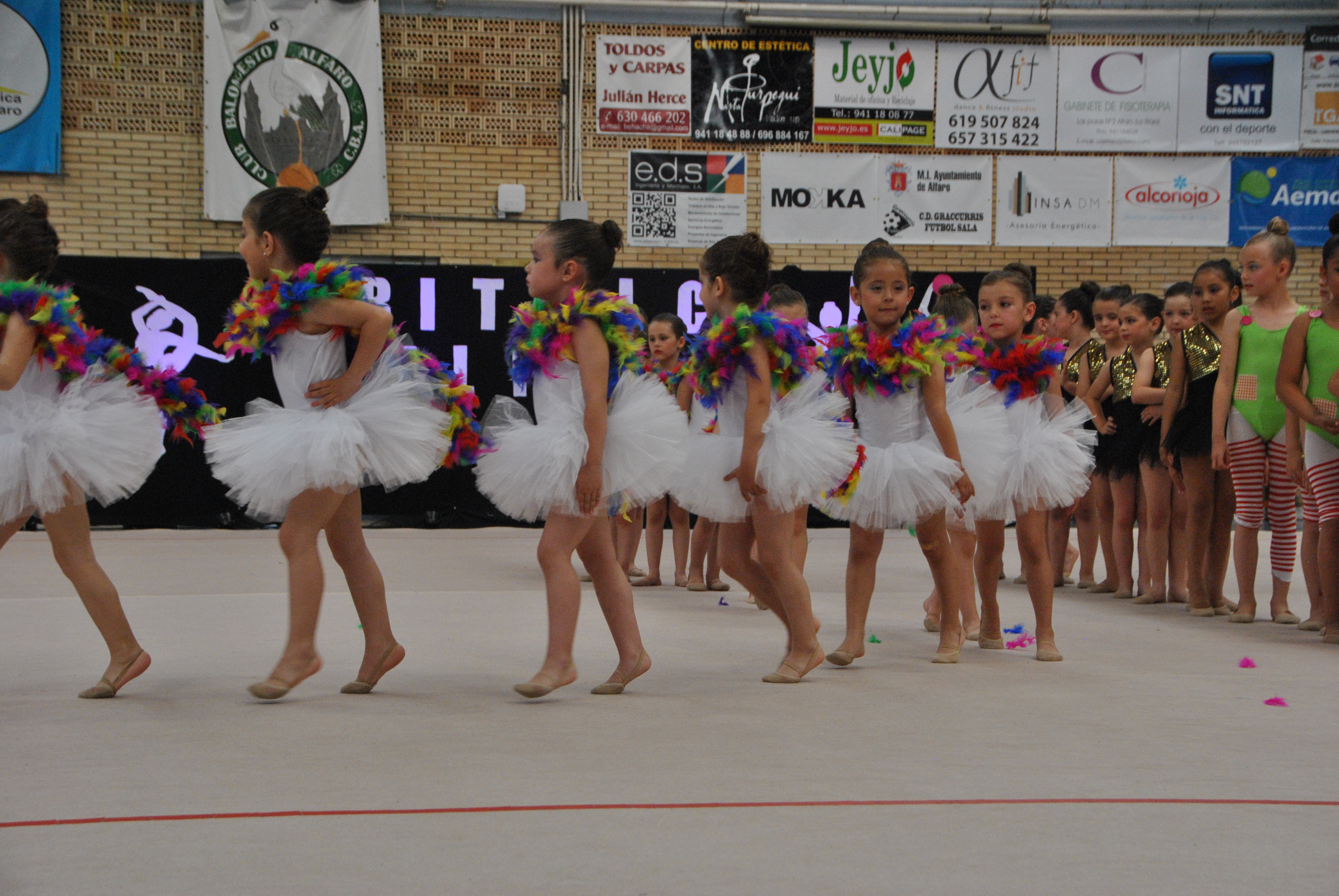 Exhibicion club ritmica Alfaro junio 18 169