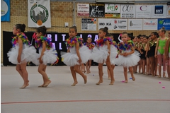 Exhibicion club ritmica Alfaro junio 18 170