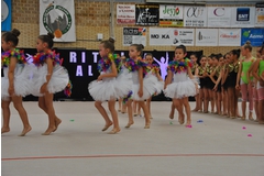 Exhibicion club ritmica Alfaro junio 18 171