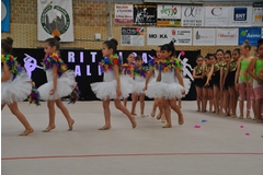 Exhibicion club ritmica Alfaro junio 18 172