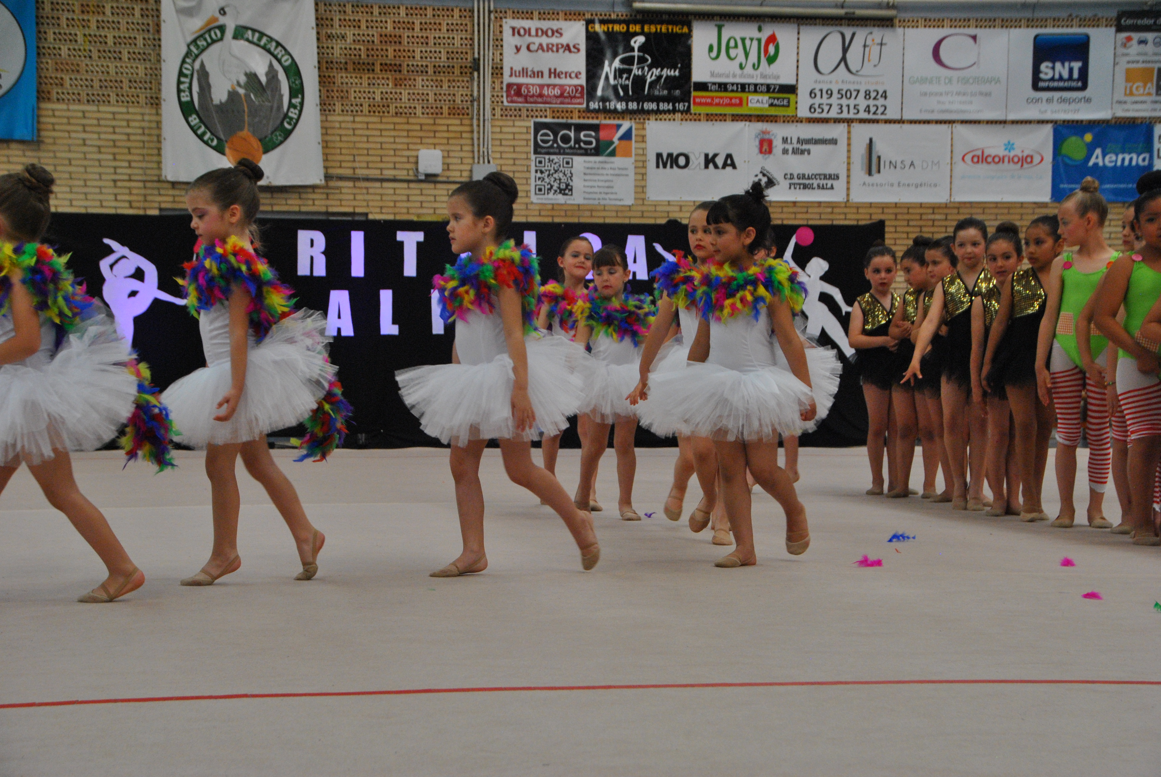 Exhibicion club ritmica Alfaro junio 18 172