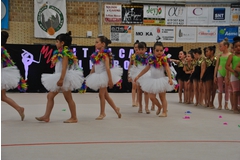 Exhibicion club ritmica Alfaro junio 18 173