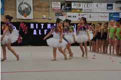 Exhibicion club ritmica Alfaro junio 18 174