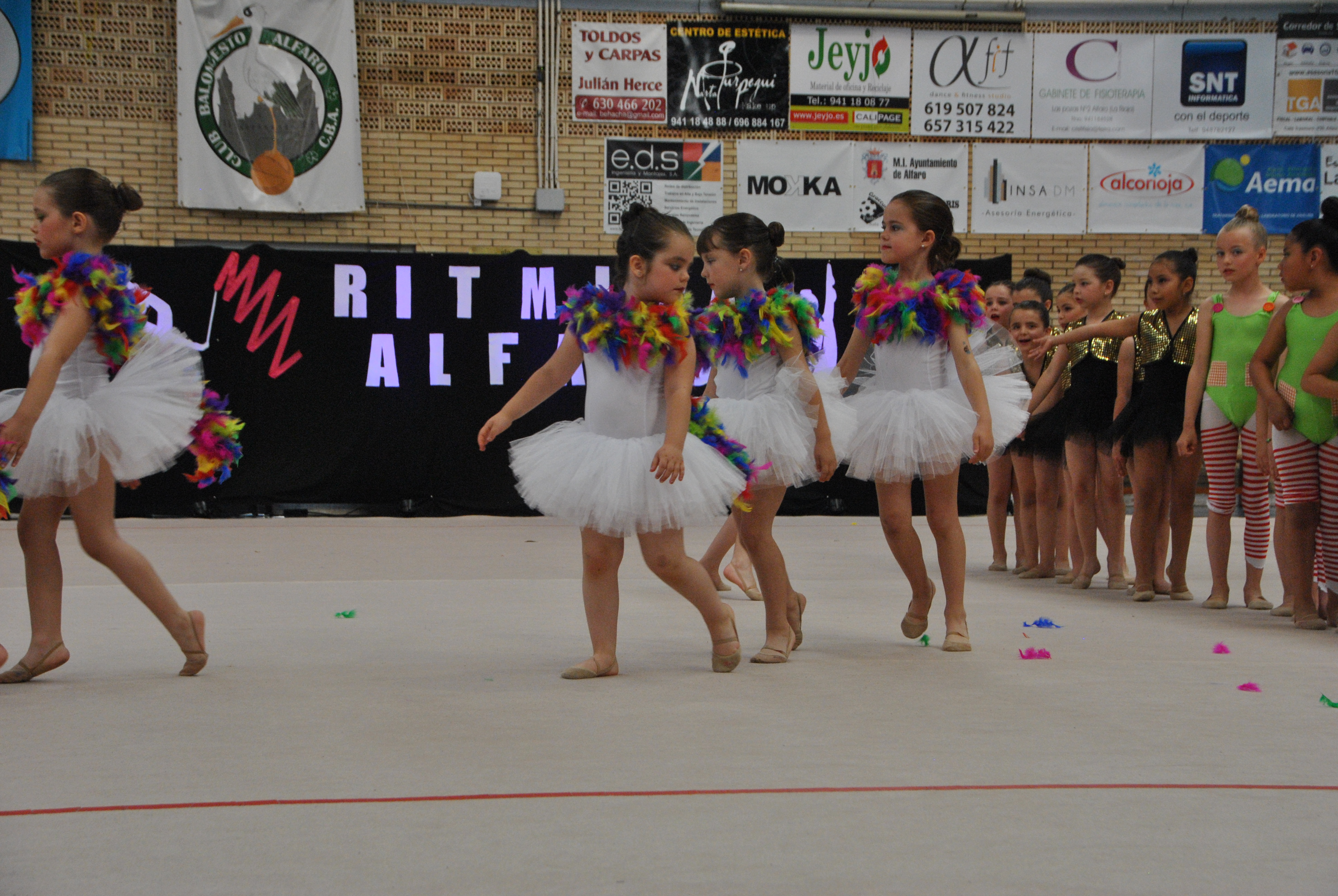 Exhibicion club ritmica Alfaro junio 18 174