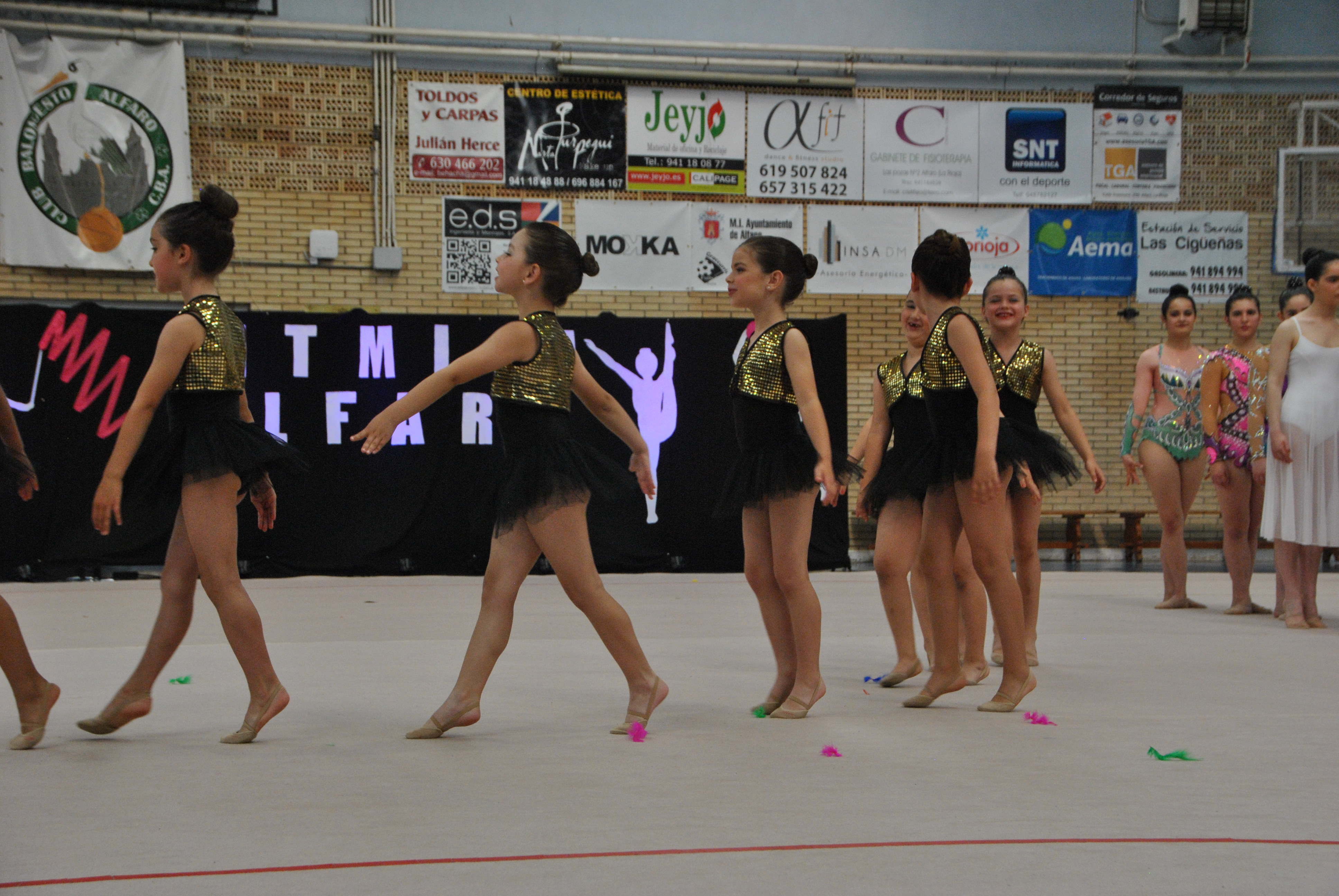 Exhibicion club ritmica Alfaro junio 18 177