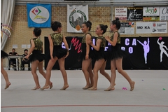 Exhibicion club ritmica Alfaro junio 18 178