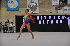 Exhibicion club ritmica Alfaro junio 18 189