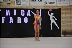 Exhibicion club ritmica Alfaro junio 18 193