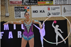 Exhibicion club ritmica Alfaro junio 18 208