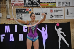 Exhibicion club ritmica Alfaro junio 18 209