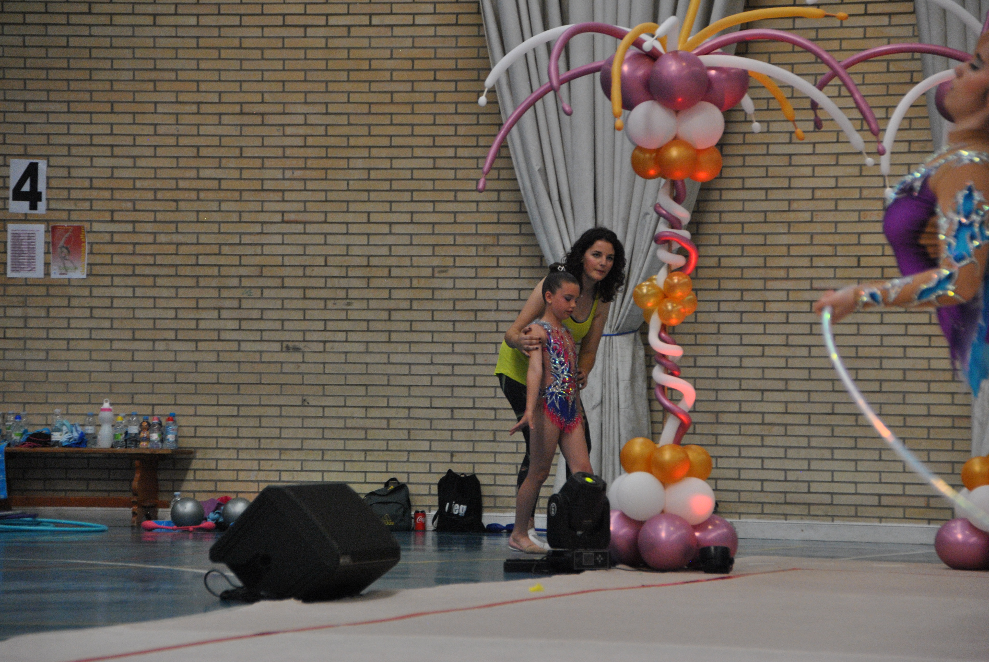 Exhibicion club ritmica Alfaro junio 18 211