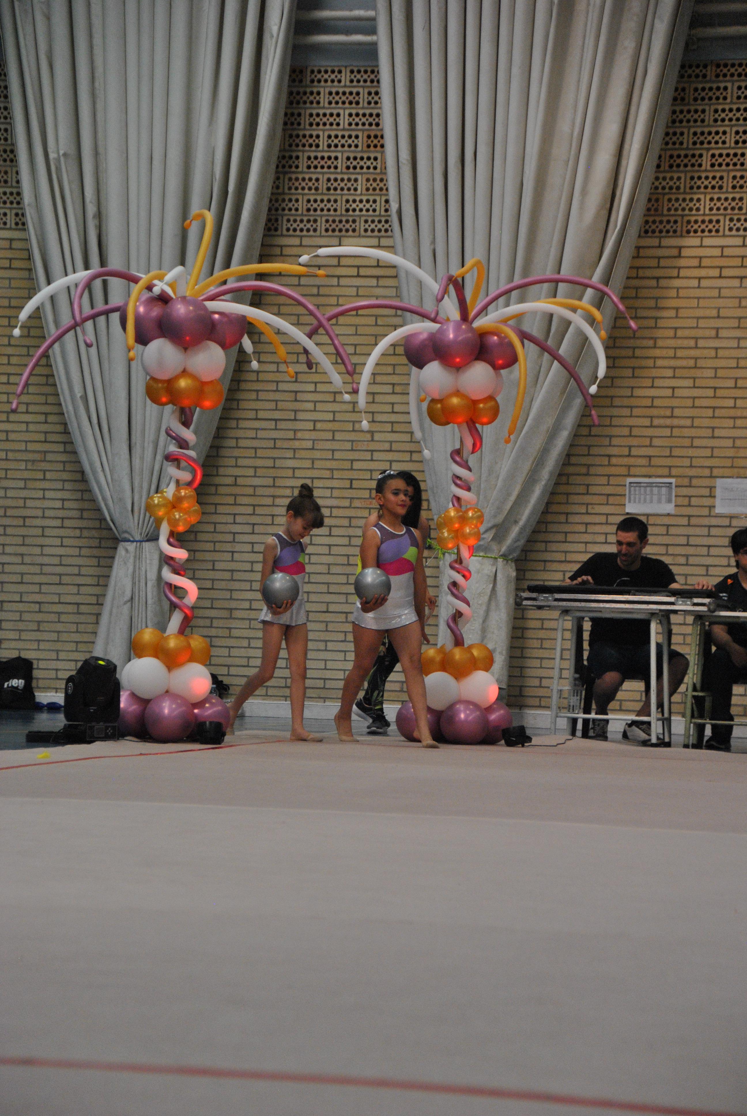 Exhibicion club ritmica Alfaro junio 18 235