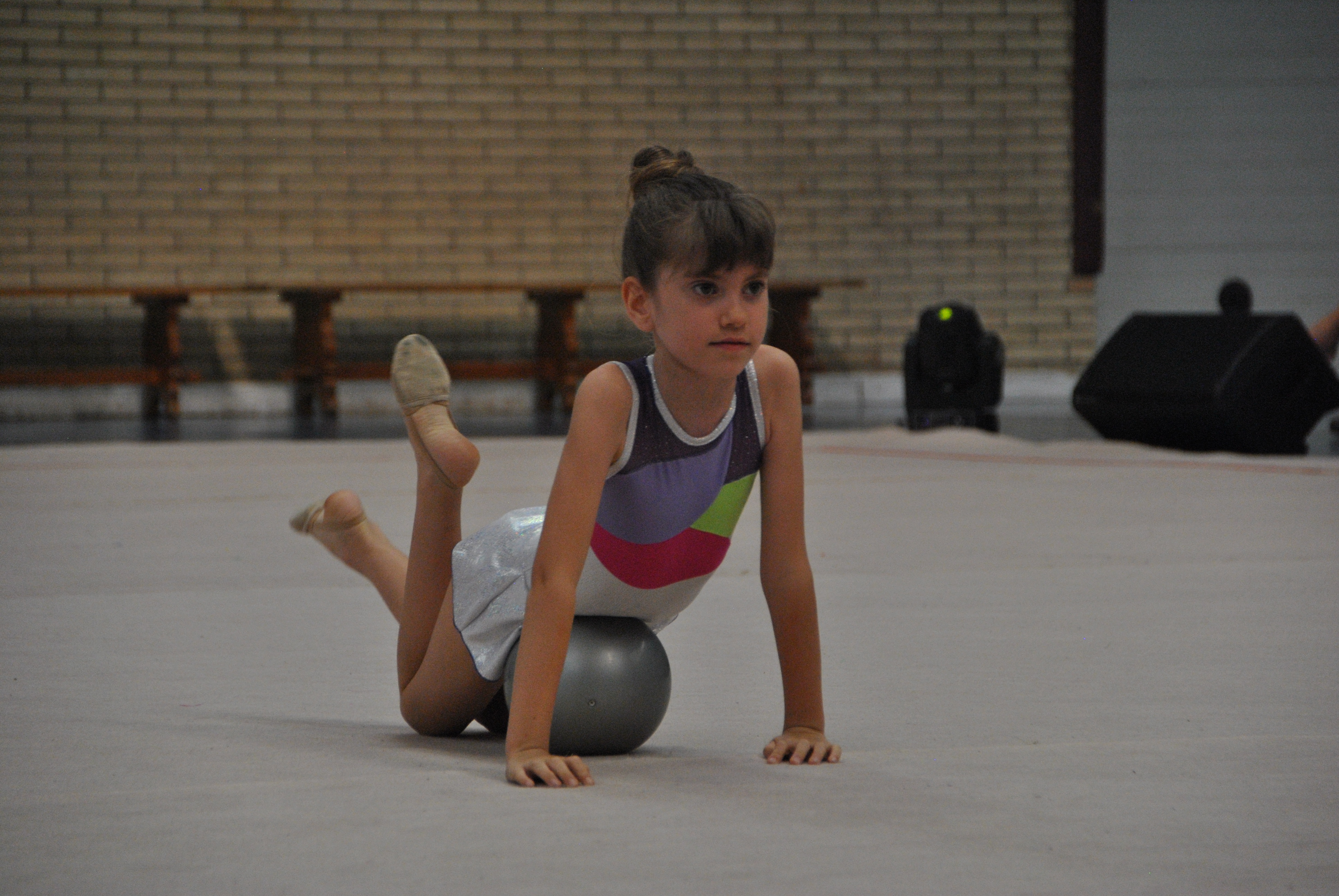 Exhibicion club ritmica Alfaro junio 18 244